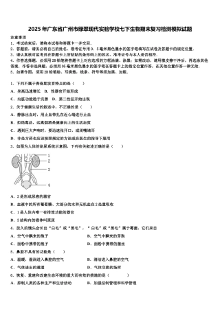 2025年广东省广州市绿翠现代实验学校七下生物期末复习检测模拟试题含解析