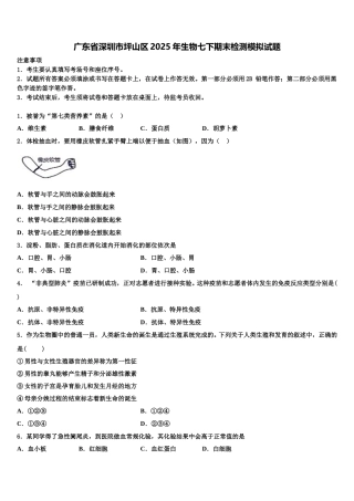 广东省深圳市坪山区2025年生物七下期末检测模拟试题含解析