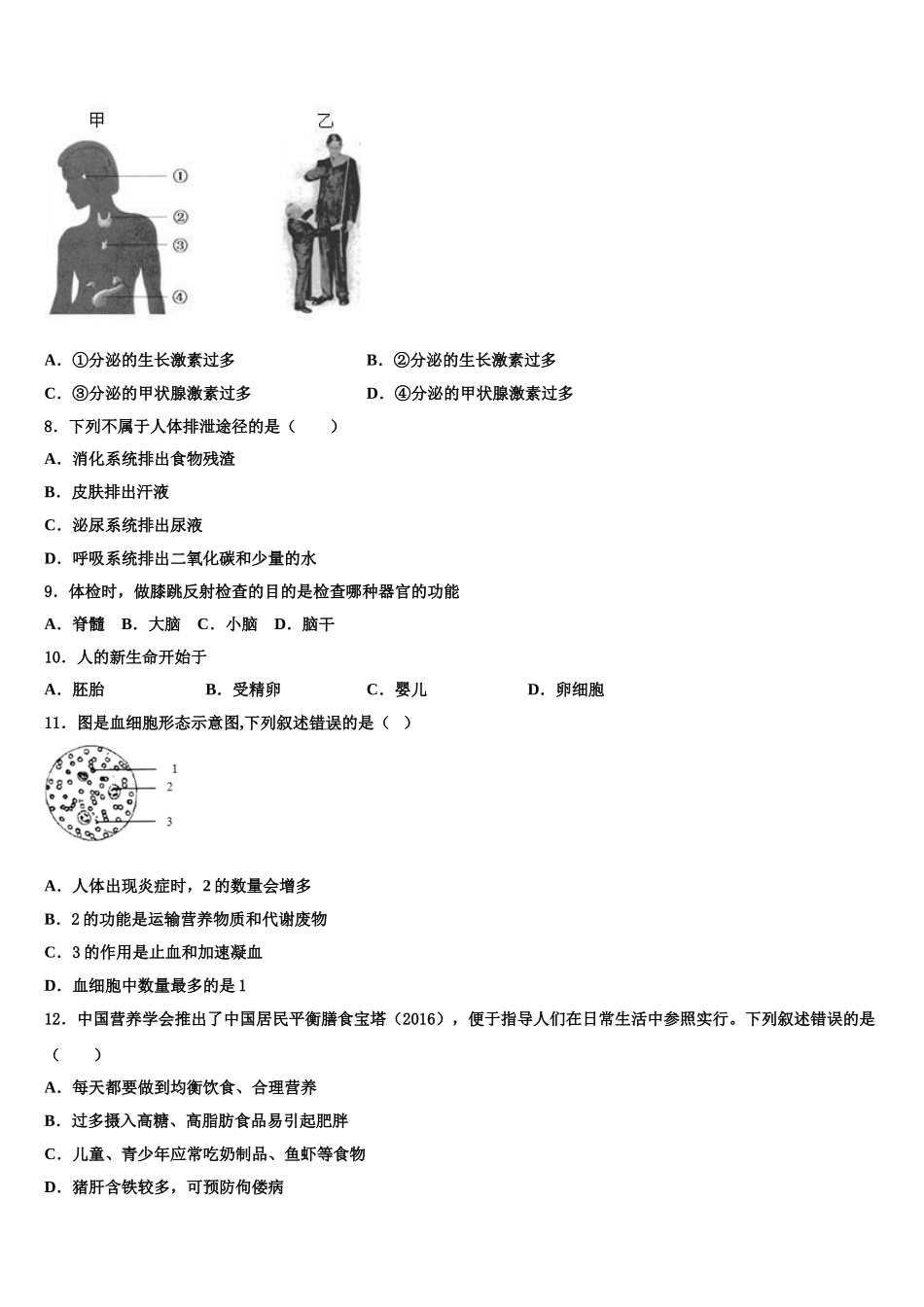 广东省广州市华南师范大第二附属中学2024-2025学年七年级生物第二学期期末复习检测试题含解析_第2页