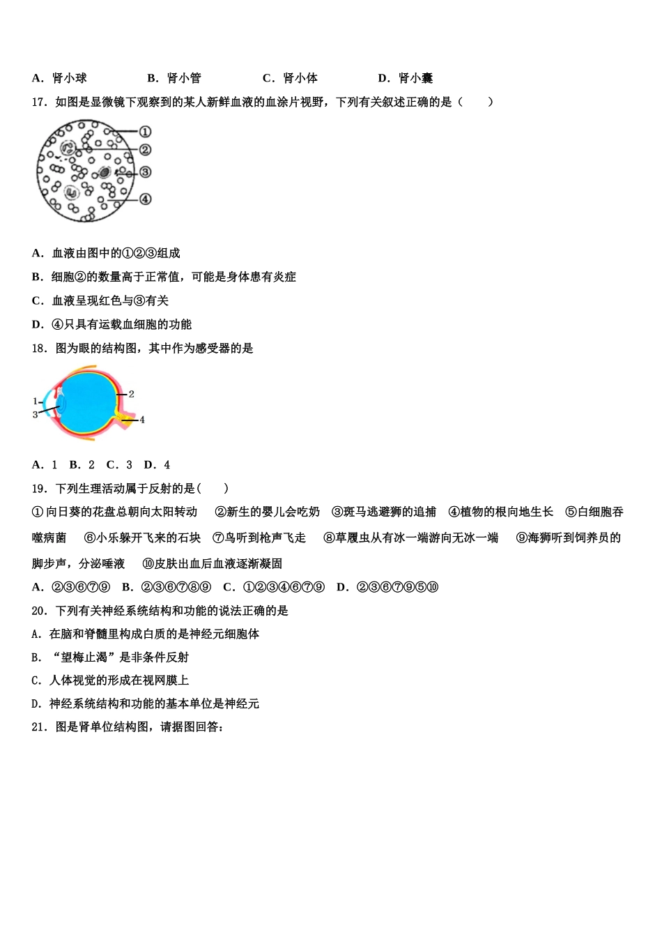 2025届广东省东莞市东方明珠中学七下生物期末学业质量监测模拟试题含解析_第3页