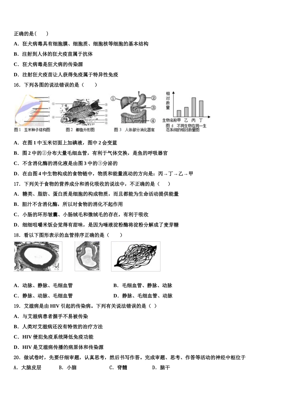 广东省惠州市惠州一中学初二下期数期2025年生物七下期末学业水平测试试题含解析_第3页