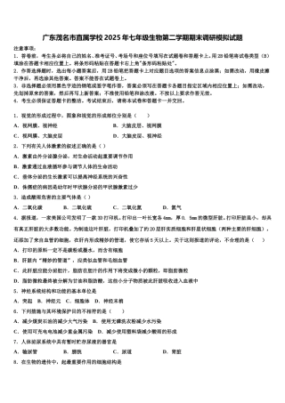 广东茂名市直属学校2025年七年级生物第二学期期末调研模拟试题含解析
