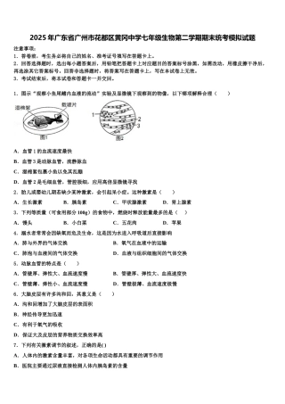 2025年广东省广州市花都区黄冈中学七年级生物第二学期期末统考模拟试题含解析