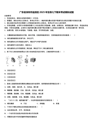 广东省深圳市盐田区2025年生物七下期末考试模拟试题含解析