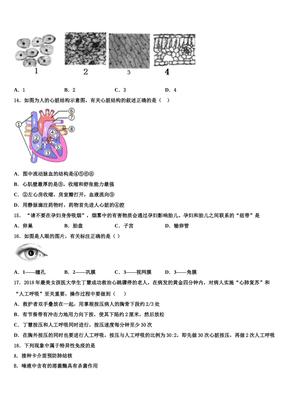 广东省中学山纪念中学2024-2025学年生物七下期末学业水平测试试题含解析_第3页