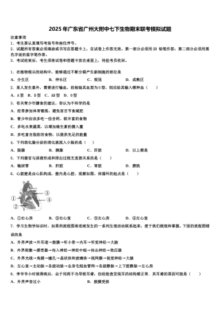 2025年广东省广州大附中七下生物期末联考模拟试题含解析