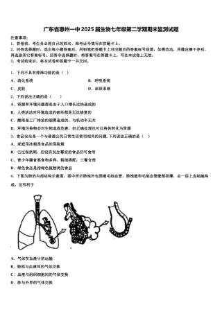 广东省惠州一中2025届生物七年级第二学期期末监测试题含解析