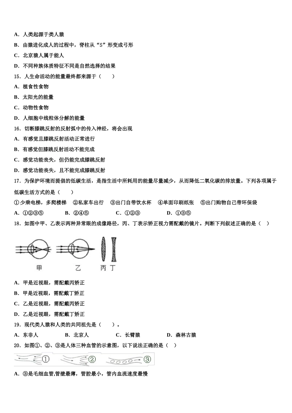 广东省广外大附中2024-2025学年七年级生物第二学期期末联考模拟试题含解析_第3页