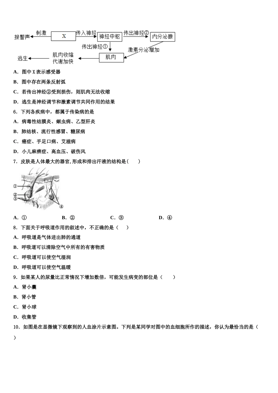广东省韶关市乐昌市2024-2025学年七年级生物第二学期期末教学质量检测模拟试题含解析_第2页