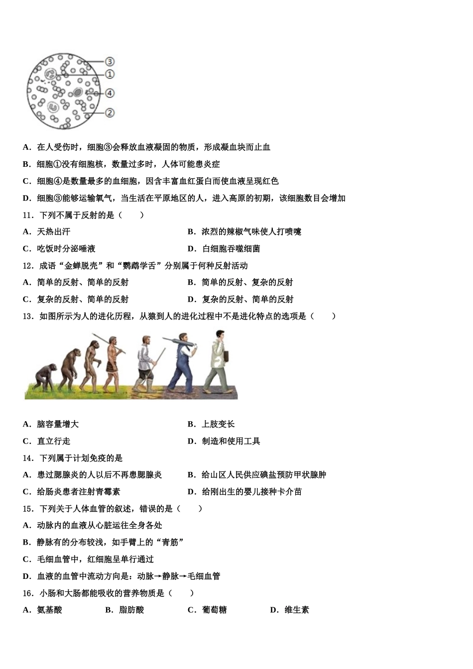 广东省韶关市乐昌市2024-2025学年七年级生物第二学期期末教学质量检测模拟试题含解析_第3页
