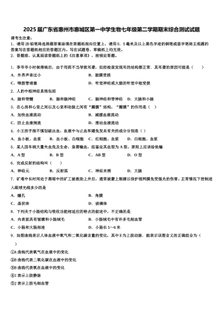 2025届广东省惠州市惠城区第一中学生物七年级第二学期期末综合测试试题含解析