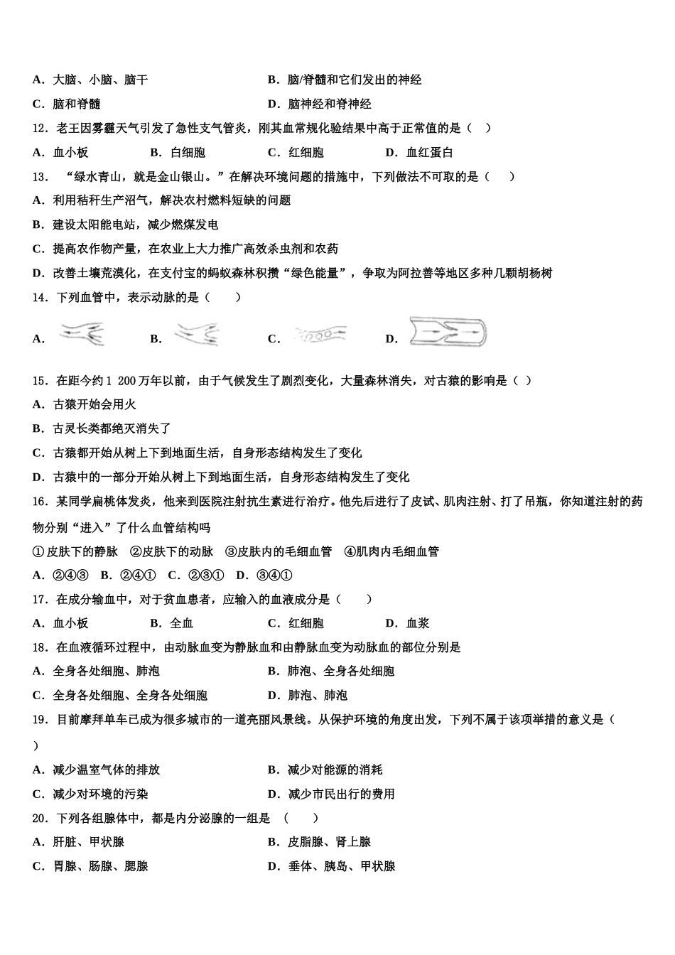 2025届广东省惠阳市马安中学七下生物期末监测试题含解析_第3页