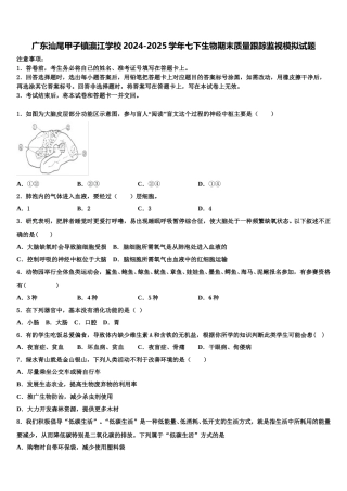 广东汕尾甲子镇瀛江学校2024-2025学年七下生物期末质量跟踪监视模拟试题含解析