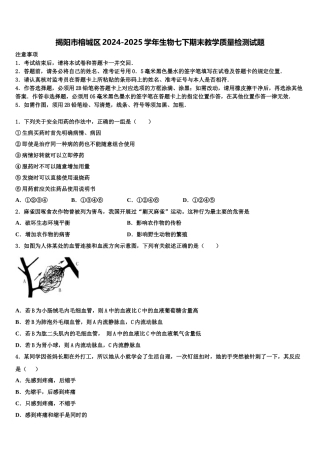 揭阳市榕城区2024-2025学年生物七下期末教学质量检测试题含解析