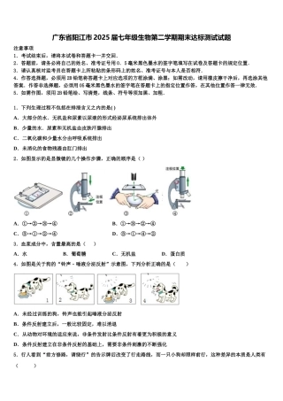广东省阳江市2025届七年级生物第二学期期末达标测试试题含解析