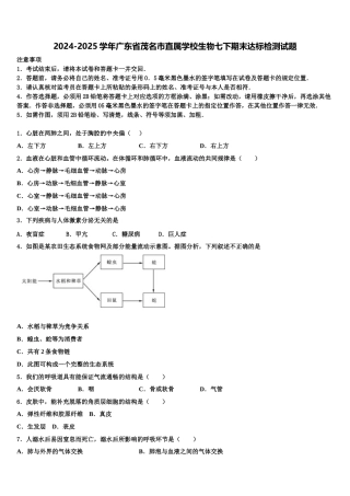 2024-2025学年广东省茂名市直属学校生物七下期末达标检测试题含解析