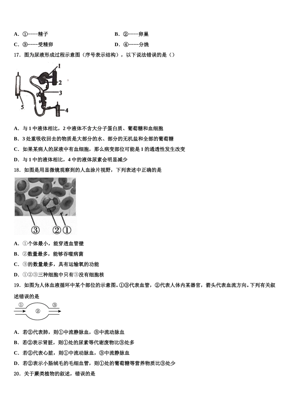 清远市重点中学2024-2025学年生物七年级第二学期期末学业质量监测模拟试题含解析_第3页
