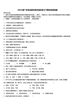 2025届广东省汕尾市海丰县生物七下期末检测试题含解析