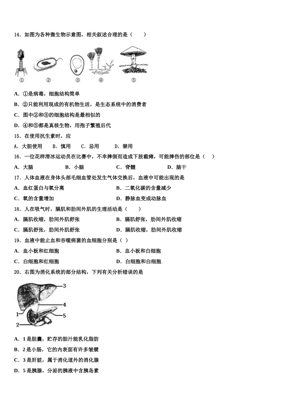 2024-2025学年广东省深圳市龙岗区大鹏新区华侨中学七下生物期末质量跟踪监视试题含解析_第3页