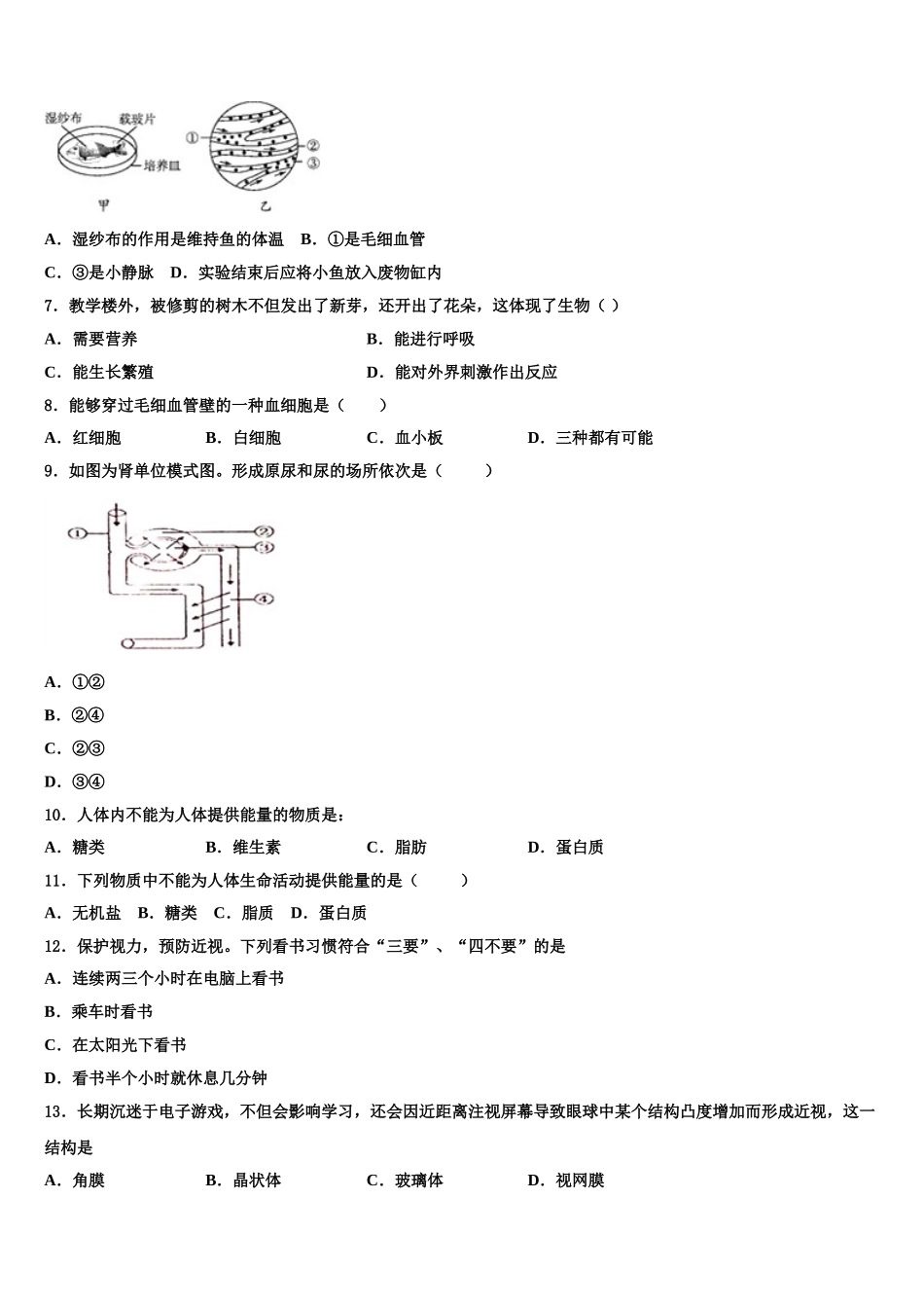 2025届广东东莞智升学校生物七下期末达标检测模拟试题含解析_第2页