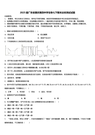 2025届广东省肇庆第四中学生物七下期末达标测试试题含解析
