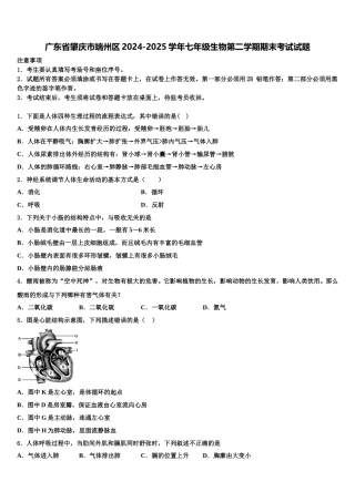 广东省肇庆市端州区2024-2025学年七年级生物第二学期期末考试试题含解析