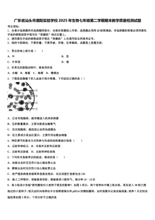 广东省汕头市潮阳实验学校2025年生物七年级第二学期期末教学质量检测试题含解析
