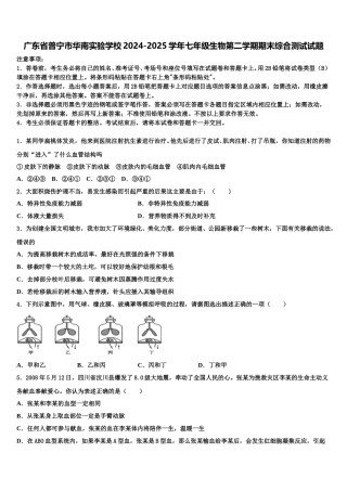 广东省普宁市华南实验学校2024-2025学年七年级生物第二学期期末综合测试试题含解析