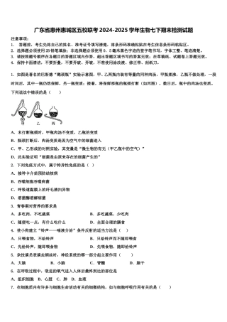 广东省惠州惠城区五校联考2024-2025学年生物七下期末检测试题含解析