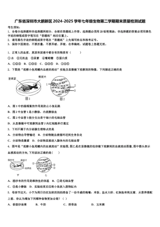 广东省深圳市大鹏新区2024-2025学年七年级生物第二学期期末质量检测试题含解析