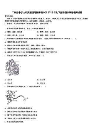 广东省中学山市黄圃镇马新初级中学2025年七下生物期末联考模拟试题含解析