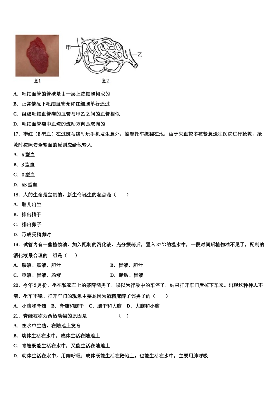 2025年广东省惠州市惠州一中学初二下期数期生物七年级第二学期期末教学质量检测模拟试题含解析_第3页