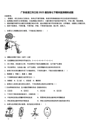 广东省湛江市三校2025届生物七下期末监测模拟试题含解析