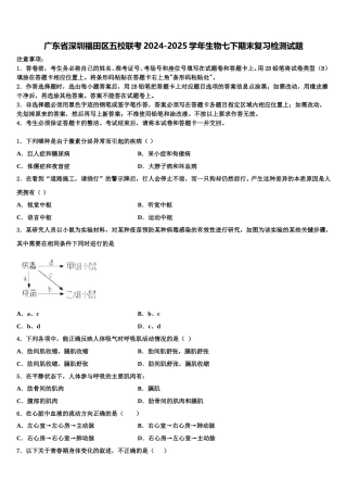 广东省深圳福田区五校联考2024-2025学年生物七下期末复习检测试题含解析
