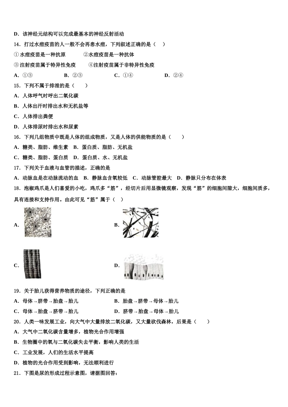 2024-2025学年广东省阳东广雅学校七年级生物第二学期期末学业水平测试模拟试题含解析_第3页