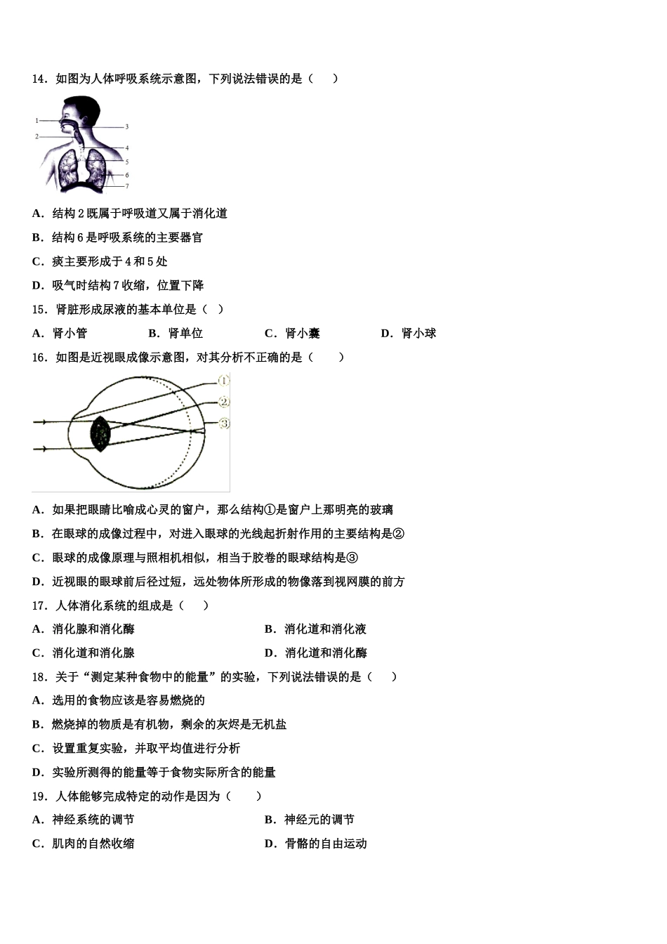 2025届广东省深圳市桃源中学七年级生物第二学期期末经典模拟试题含解析_第3页