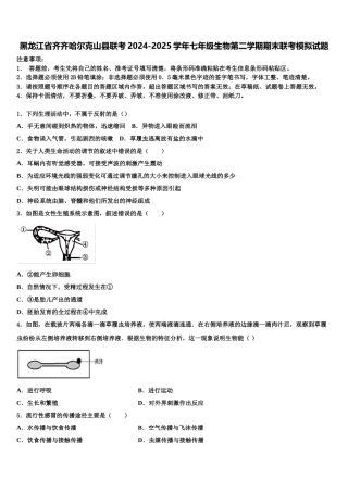 黑龙江省齐齐哈尔克山县联考2024-2025学年七年级生物第二学期期末联考模拟试题含解析