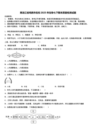 黑龙江省鸡西市名校2025年生物七下期末质量检测试题含解析