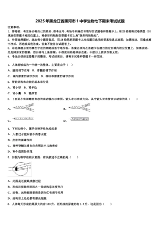 2025年黑龙江省黑河市1中学生物七下期末考试试题含解析
