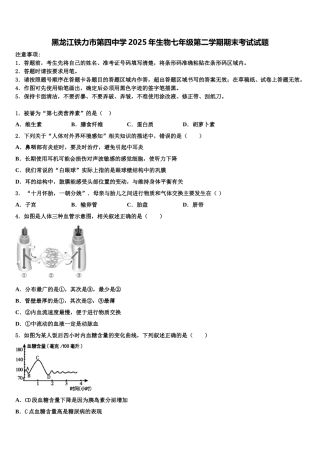 黑龙江铁力市第四中学2025年生物七年级第二学期期末考试试题含解析