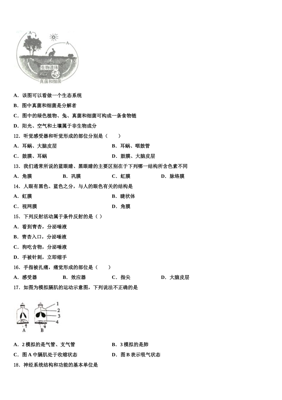 2025届黑龙江省哈尔滨光华中学生物七年级第二学期期末学业水平测试模拟试题含解析_第3页
