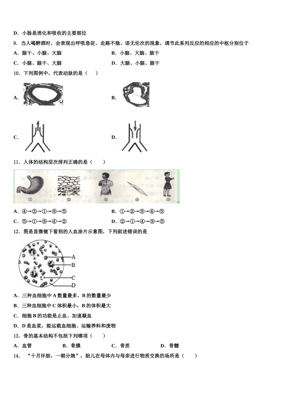 2024-2025学年黑龙江省哈尔滨市尚志市生物七年级第二学期期末质量检测模拟试题含解析_第2页