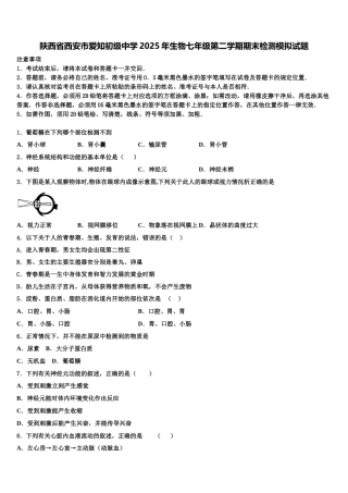 陕西省西安市爱知初级中学2025年生物七年级第二学期期末检测模拟试题含解析