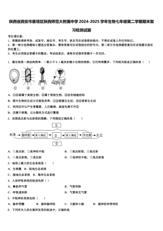 陕西省西安市雁塔区陕西师范大附属中学2024-2025学年生物七年级第二学期期末复习检测试题含解析