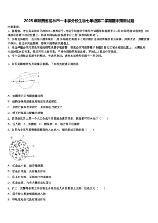 2025年陕西省榆林市一中学分校生物七年级第二学期期末预测试题含解析
