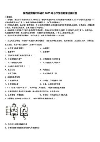 陕西省渭南市韩城市2025年七下生物期末经典试题含解析