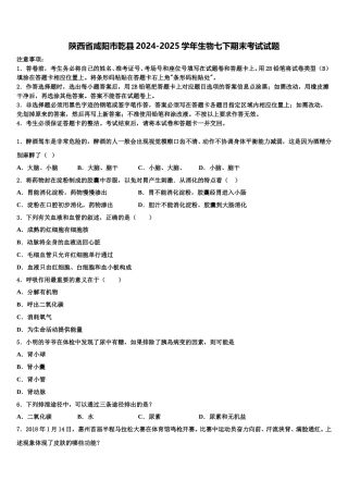 陕西省咸阳市乾县2024-2025学年生物七下期末考试试题含解析