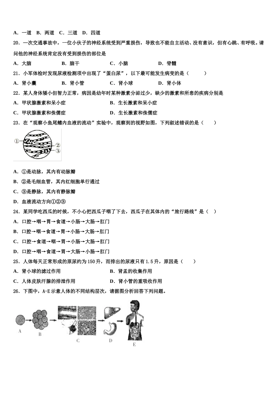 西安市重点中学2024-2025学年七下生物期末学业水平测试试题含解析_第3页