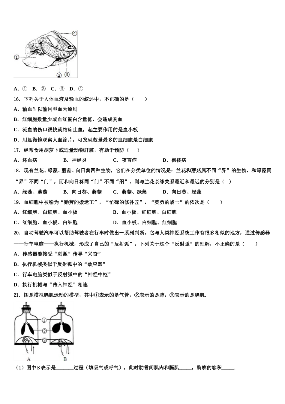2024-2025学年陕西宝鸡市七年级生物第二学期期末教学质量检测模拟试题含解析_第3页
