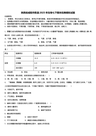 陕西省咸阳市乾县2025年生物七下期末经典模拟试题含解析